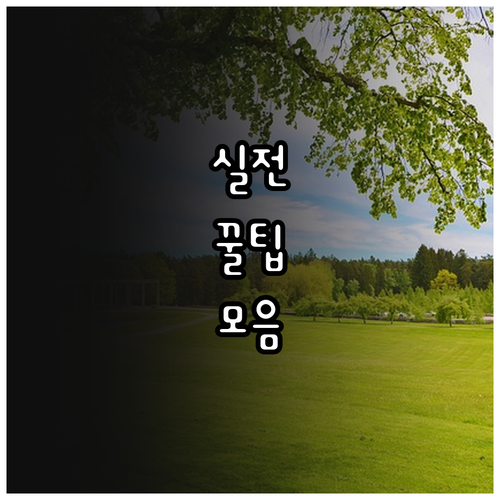 2025 대구 장애인 자립생활주택 지..