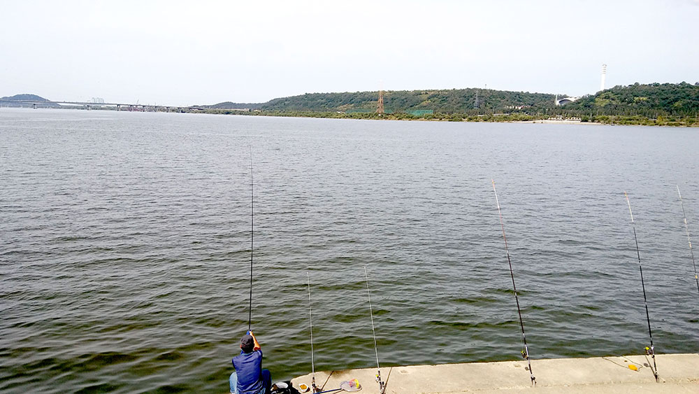 서서울둘레길 안양천 양화교