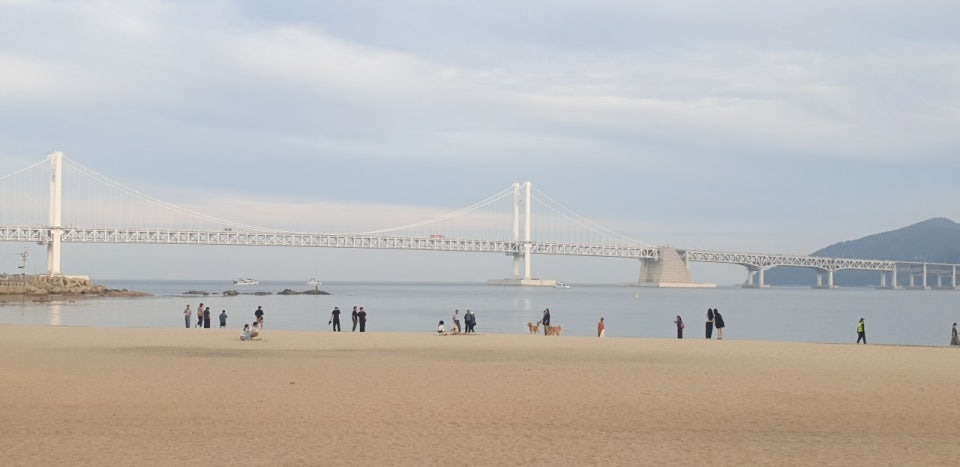 부산 해운대 광안리 바다사진