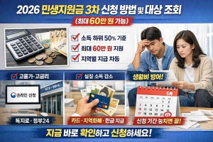 2026년 3차 민생지원금