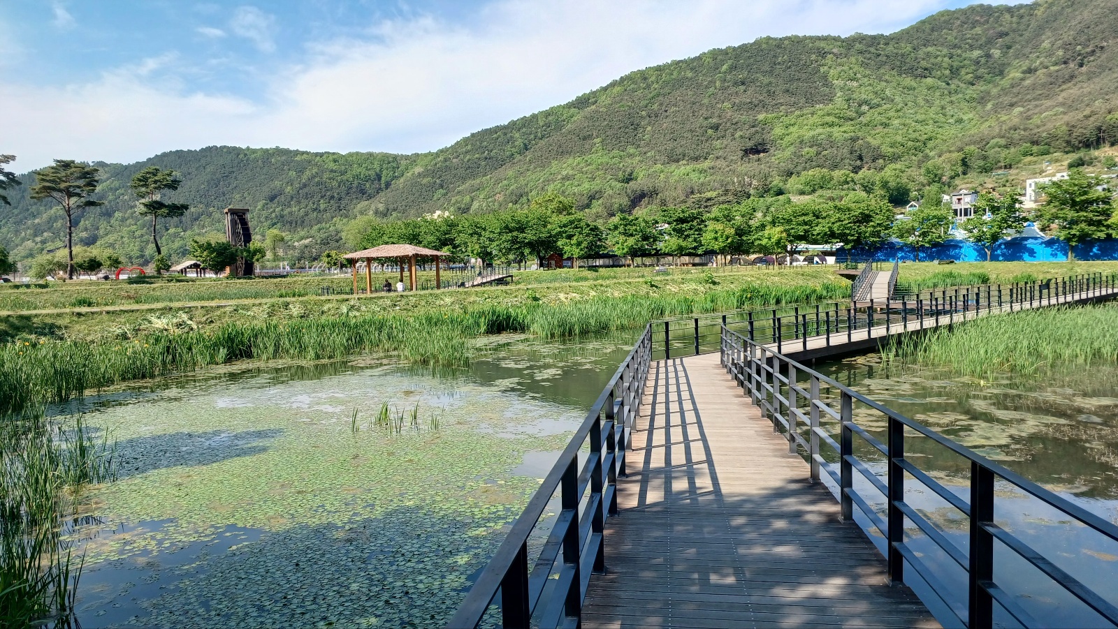 옥연지 송해공원38