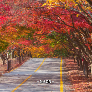 11월 가볼만한 산