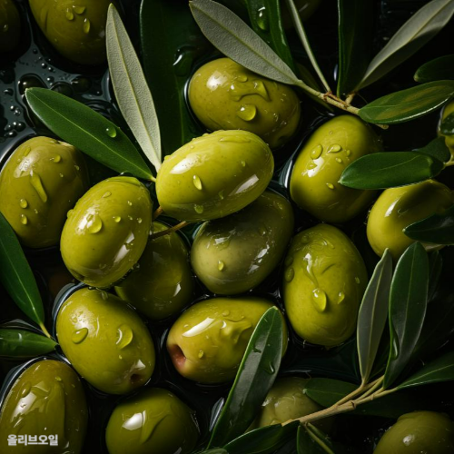 올리브