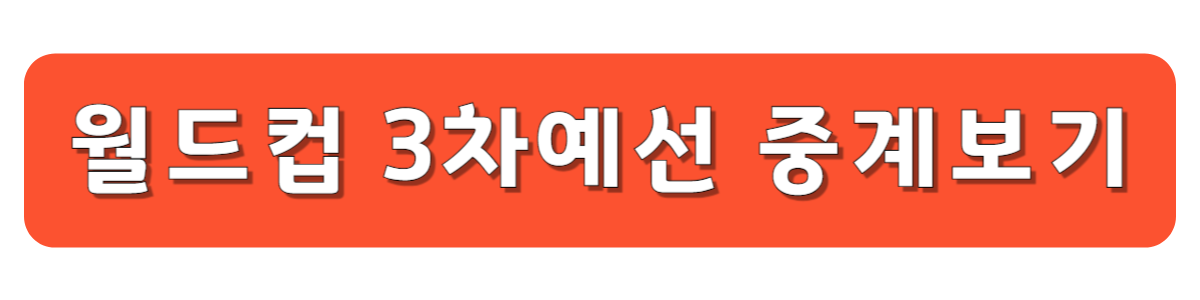 월드컵 축구 요르단전 중계보기