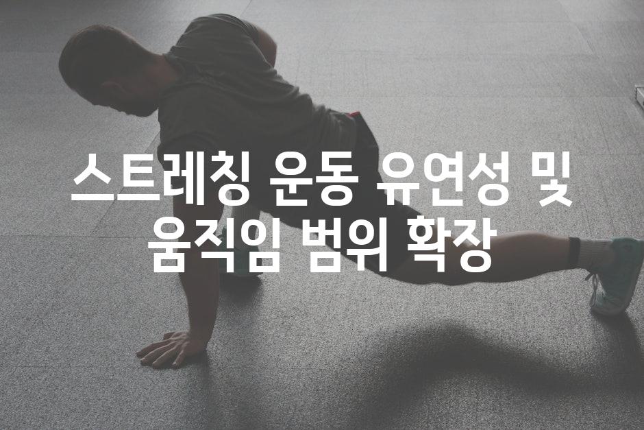 스트레칭 운동 유연성 및 움직임 범위 확장