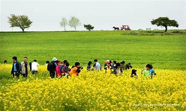 초록물결 음악노트 고창 청보리밭 축제여는 고창청보리밭축제위원회
