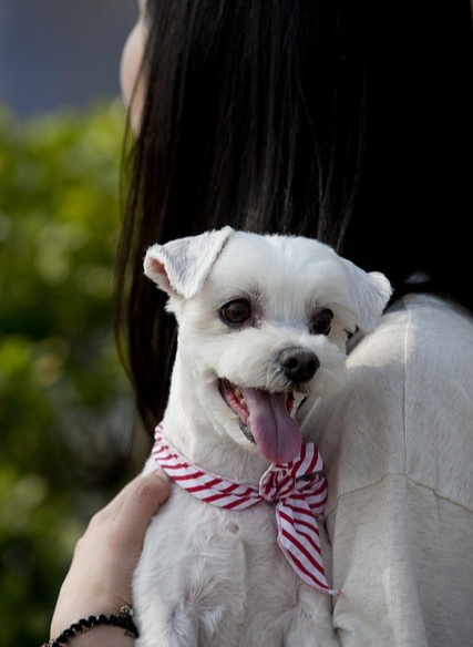 🍽️ 식사 시간 조절