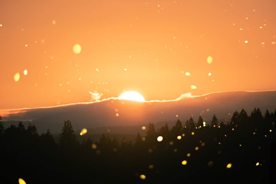 Sunshine.