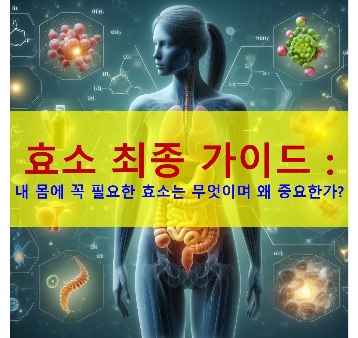 효소