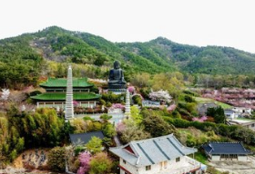 서부해당화축제