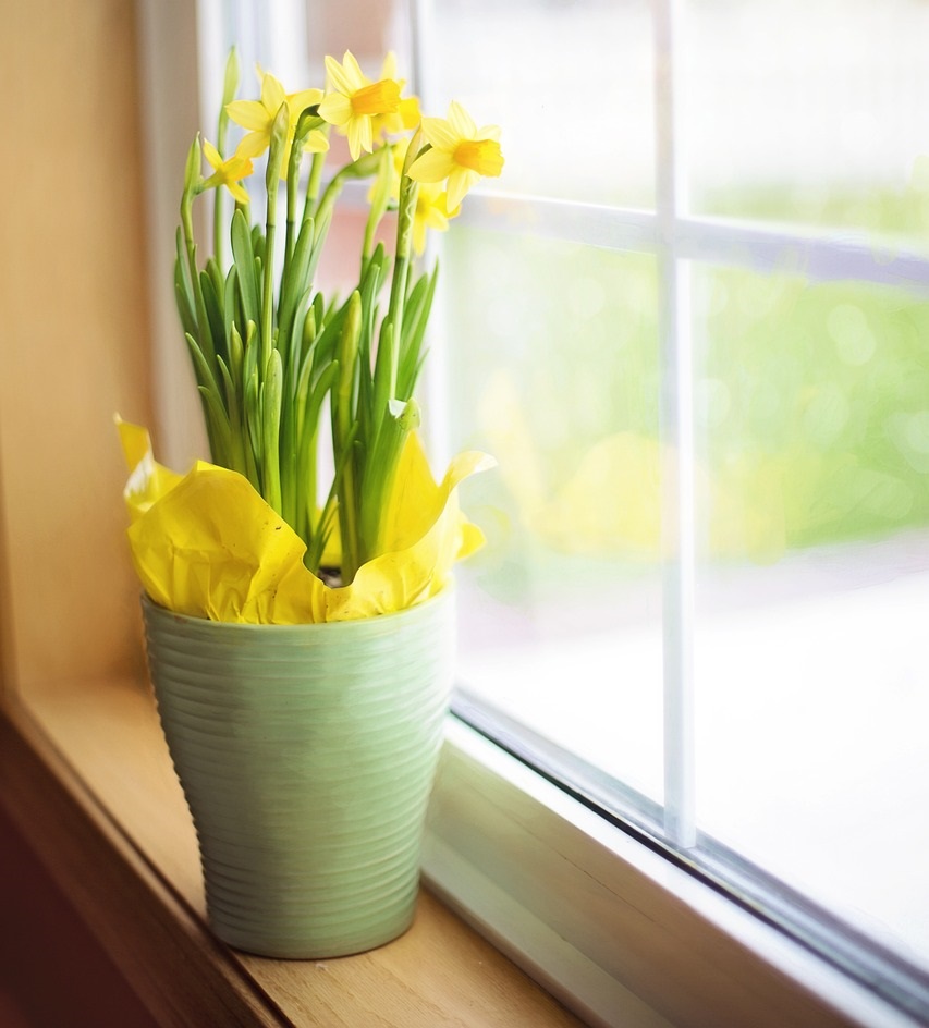 성격은 고칠 수 있을까? 심리학적 분석