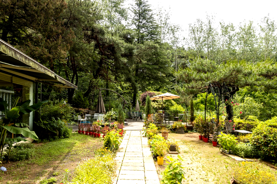 경북 칠곡 시크릿 가든(비밀의 화원)