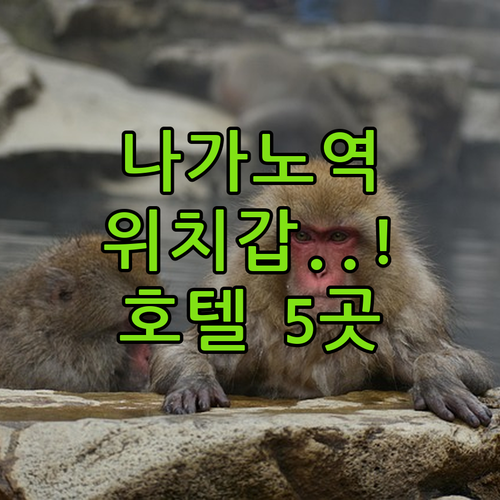 일본 나가노 숙소 예약 전 확인해야 ..