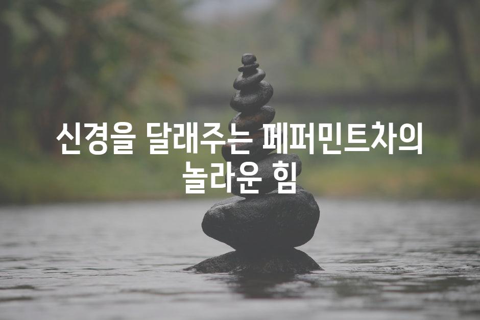신경을 달래주는 페퍼민트차의 놀라운 힘