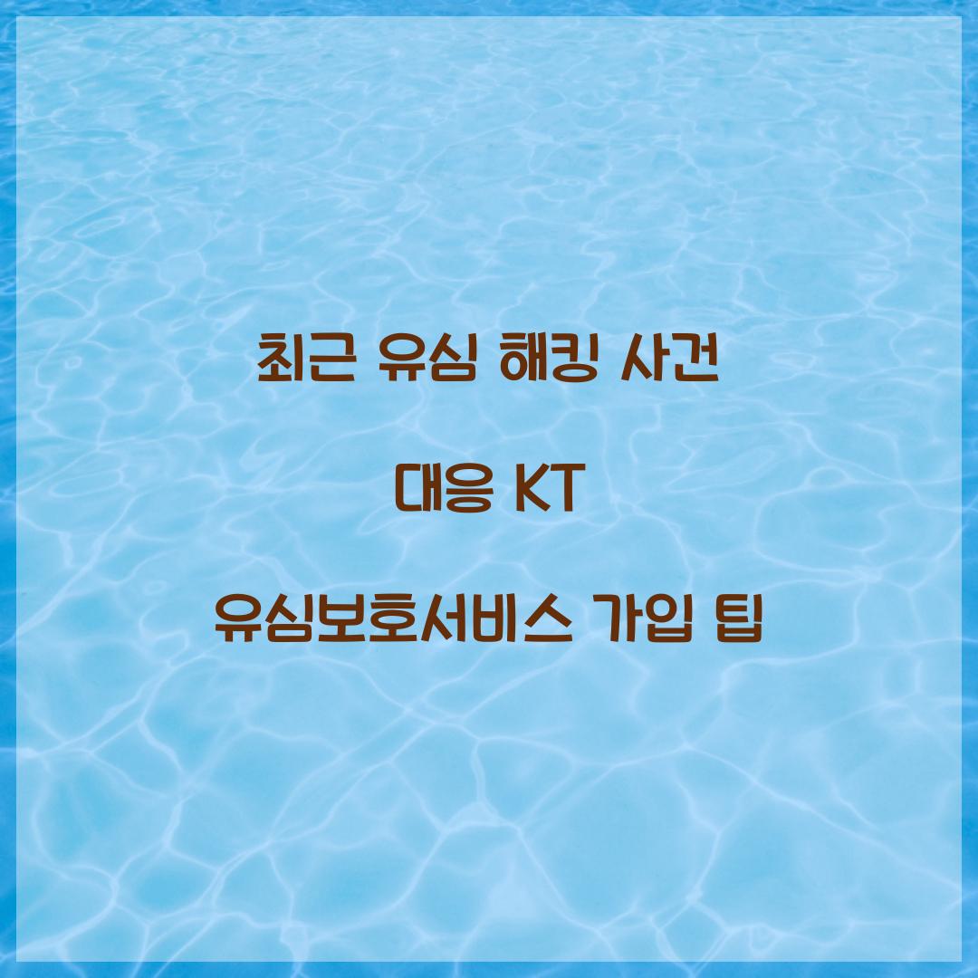 최근 유심 해킹 사건 대응: KT 유심보호서비스 즉시 가입 방법