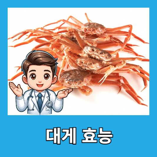 대게 효능
