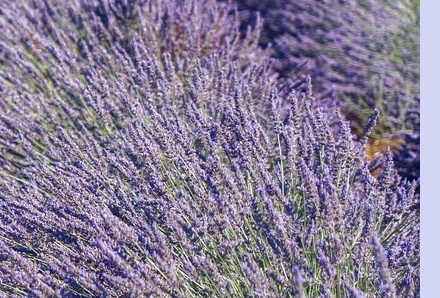 6월 국내 여행지 추천