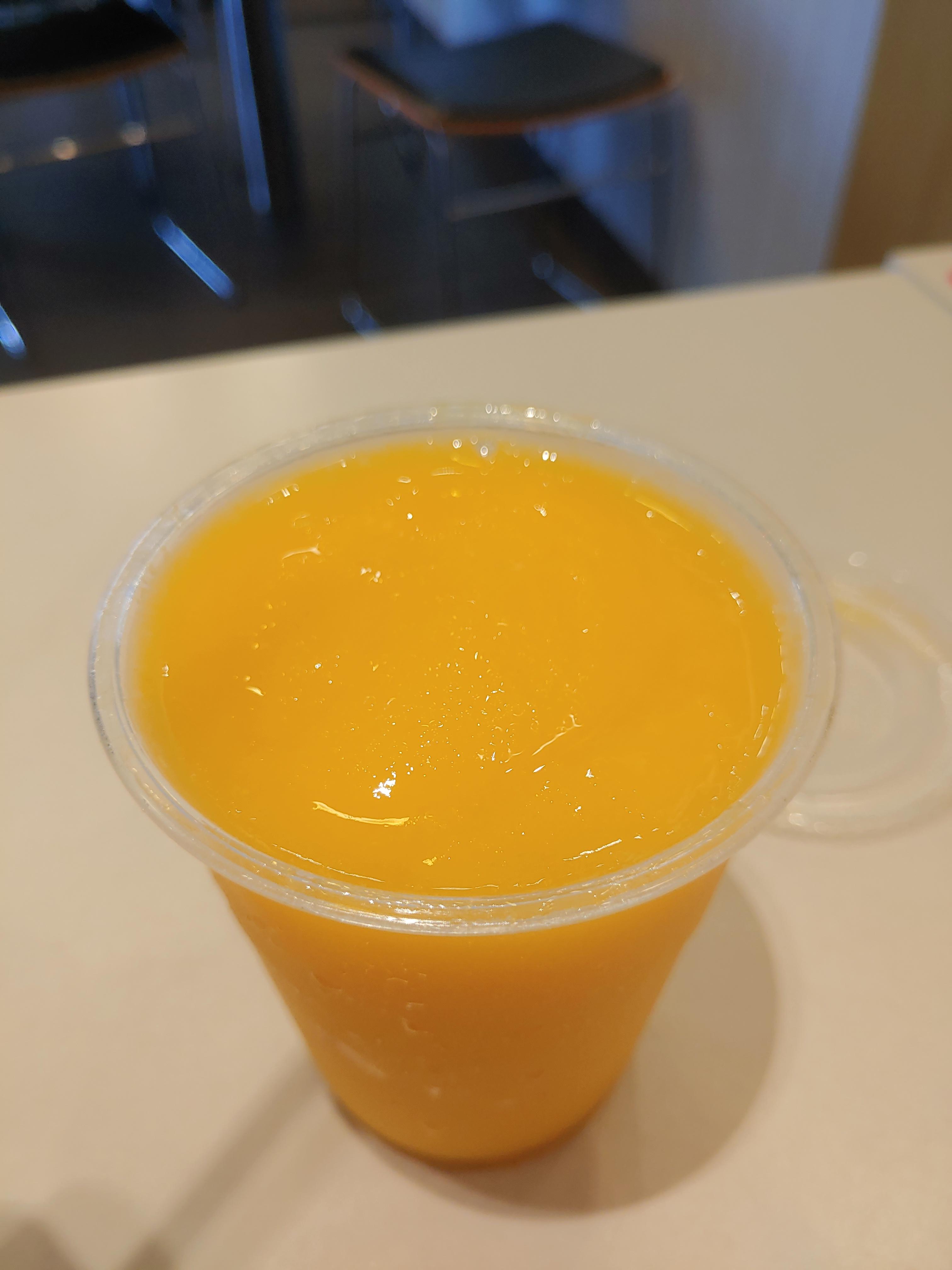 제주 한라봉 칠러