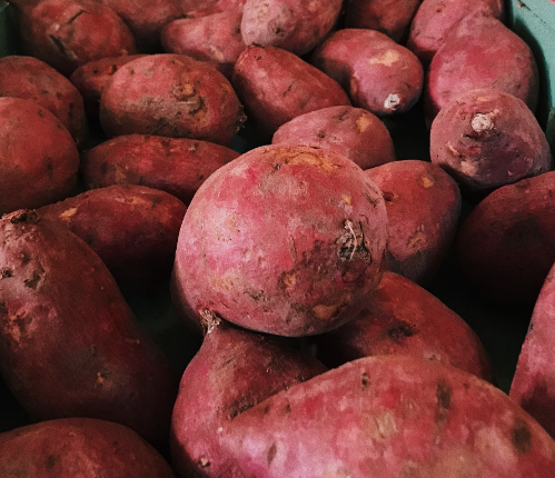 눈에 좋은 음식 10가지