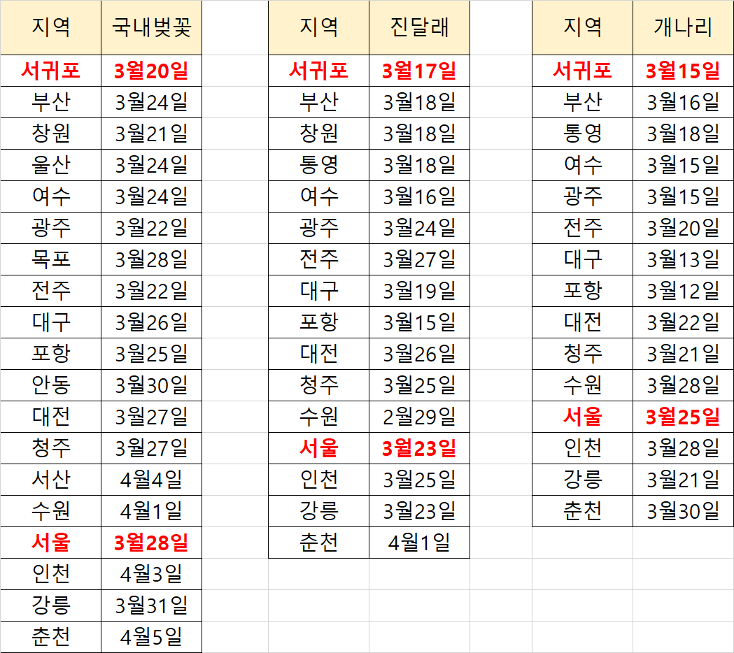 벚꽃 개화시기 봄축제 BEST5