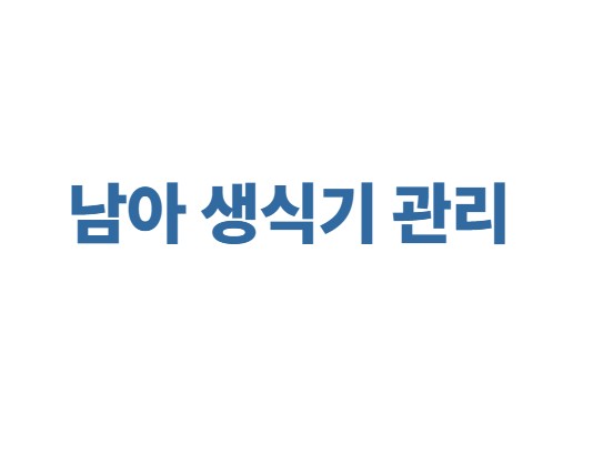 남아 생식기 관리
