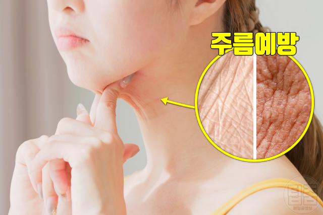 달래 효능 항산화 주름 예방