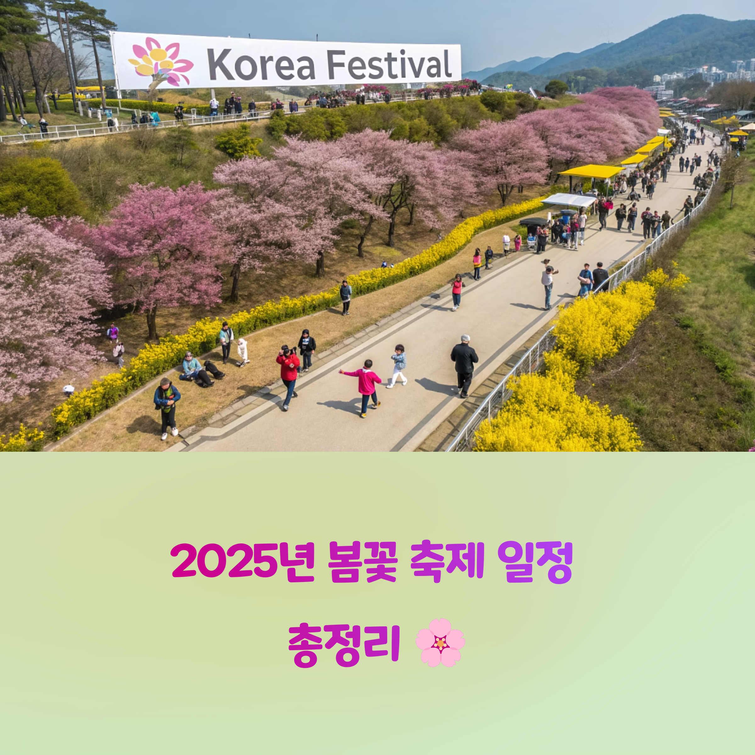 봄꽃 축제 언제 어디서? 날짜순으로 정리해 드려요