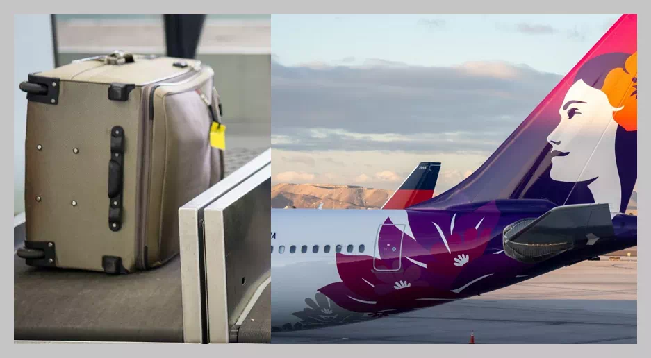 하와이안 항공수하물3