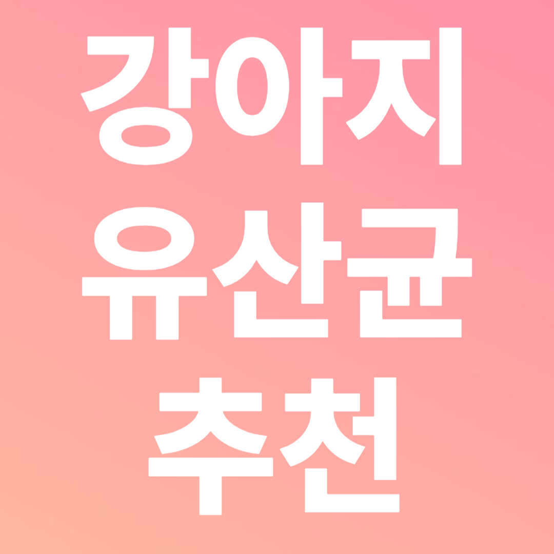 강아지 유산균