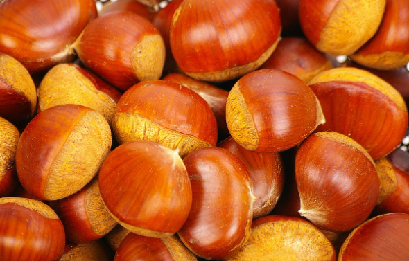 추석지원금 신청