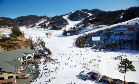 오크밸리-스키장