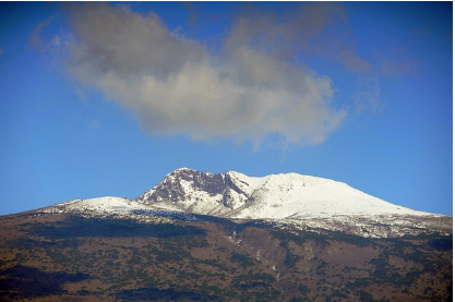 한라산에서 만나는 봄, 제주 한라산