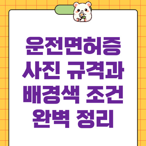 면허증 사진 규격