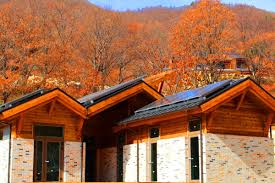 대봉산 숲속힐링