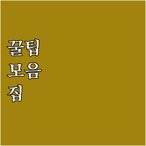 2025 제주 입양축하금 700만원 ..