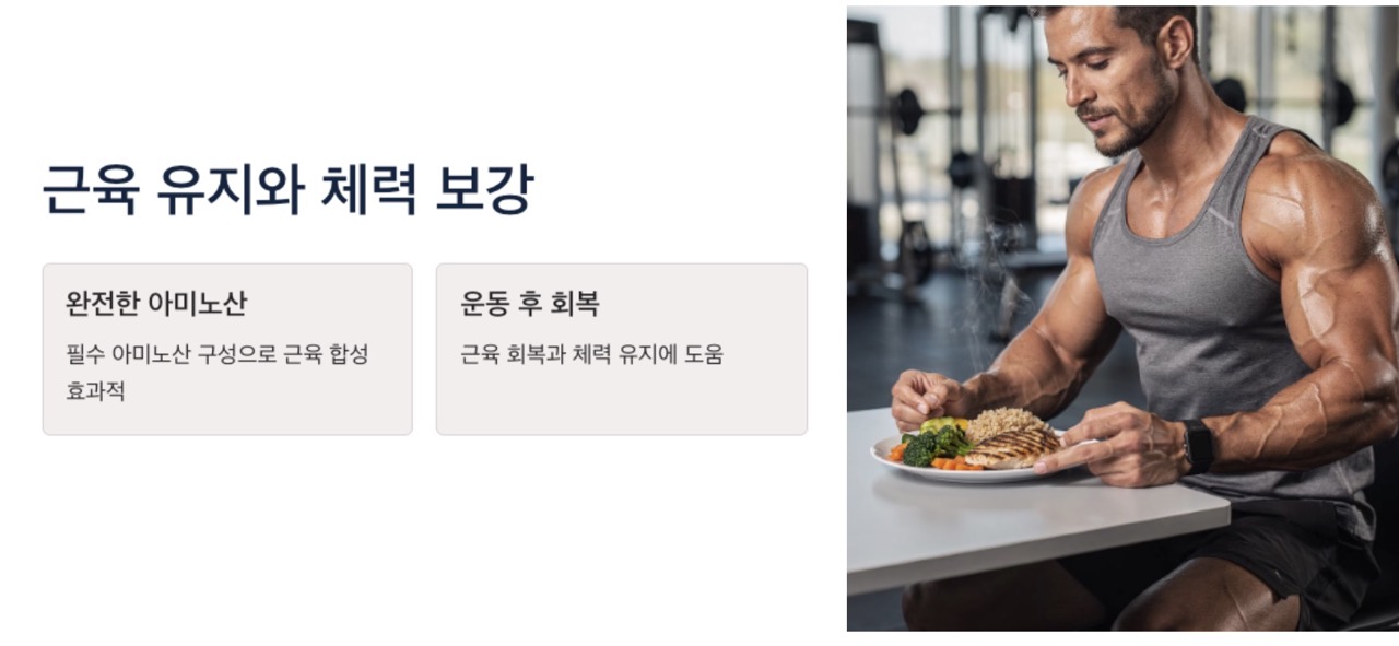 닭고기 효능 근육유지와 체력보강