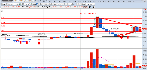 신송홀딩스-월봉-차트