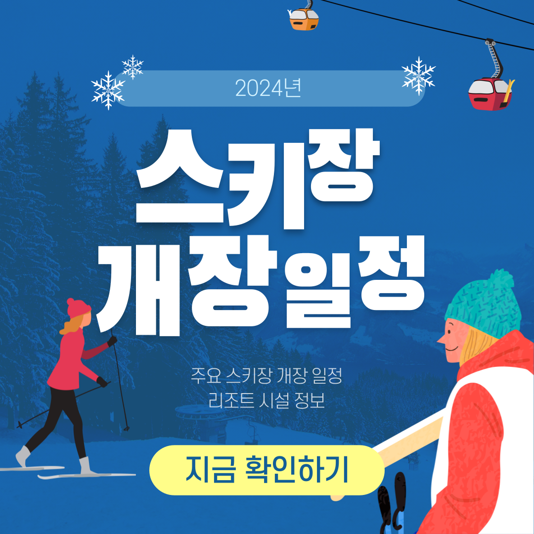 스키장 일정