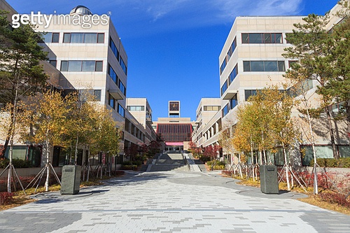 경상북도 대학 총정리｜4년제&middot;전문대&middot;특수대학 한눈에 보기