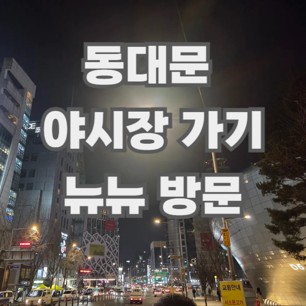 동대뮨 뉴뉴 야시장가기