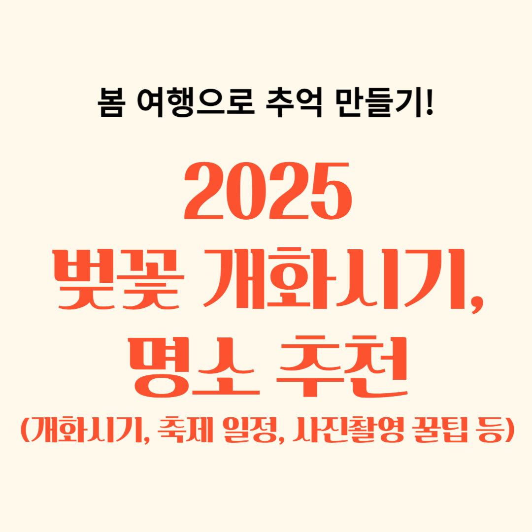 2025 벚꽃 개화시기, 명소추천, 사진 촬영 꿀팁