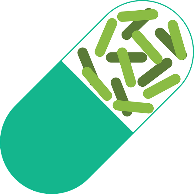 강아지 심장사상충