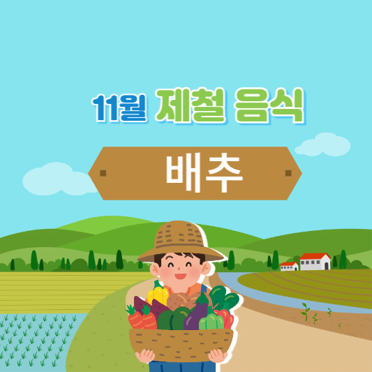 11우러 제철 배추