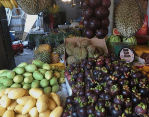 세부 여행 제이파크 여행 1탄