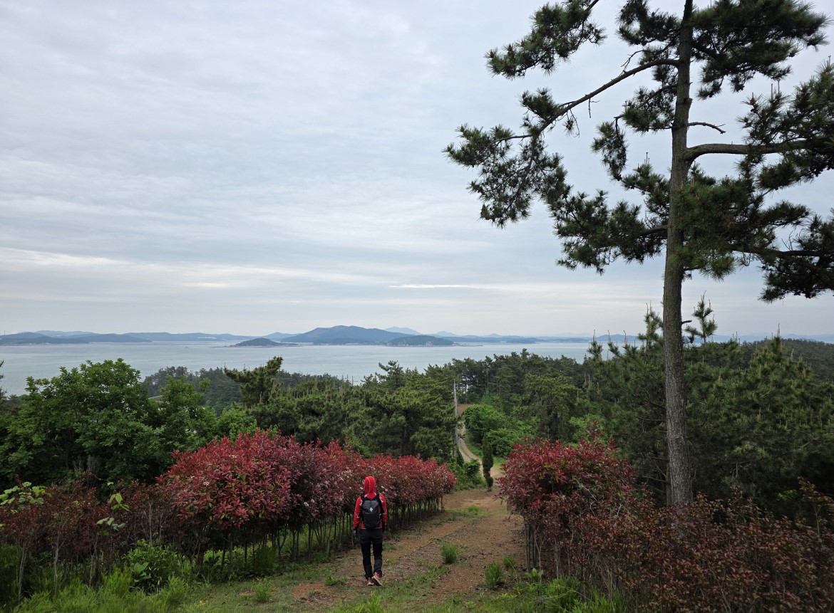 태안 서해랑길 완주 원정대 서해랑길 72코스