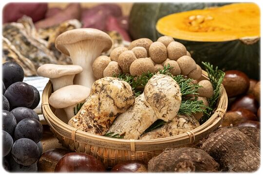 간 간암에 좋은 음식 안좋은 음식