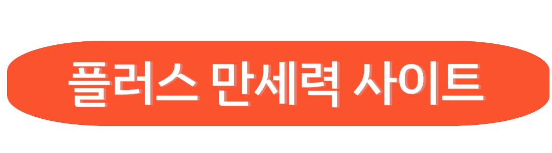 플러스 만세력 사이트