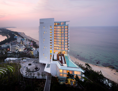 2025 강릉 경포 벚꽃축제