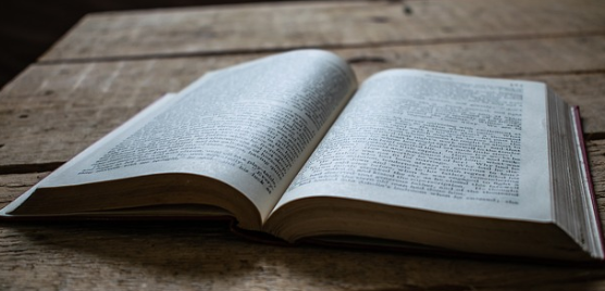 근대성과 신세대 문학에 대한 논의: 전통과 현대의 경계에서