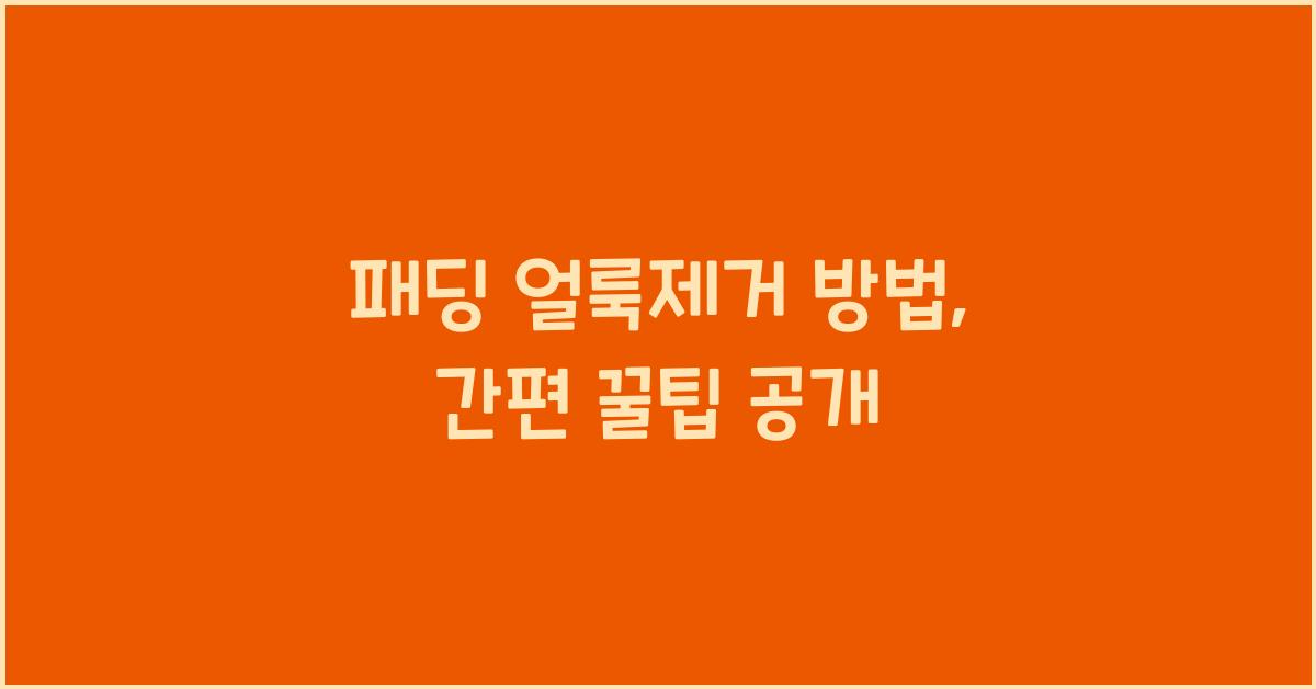 패딩 얼룩제거 방법